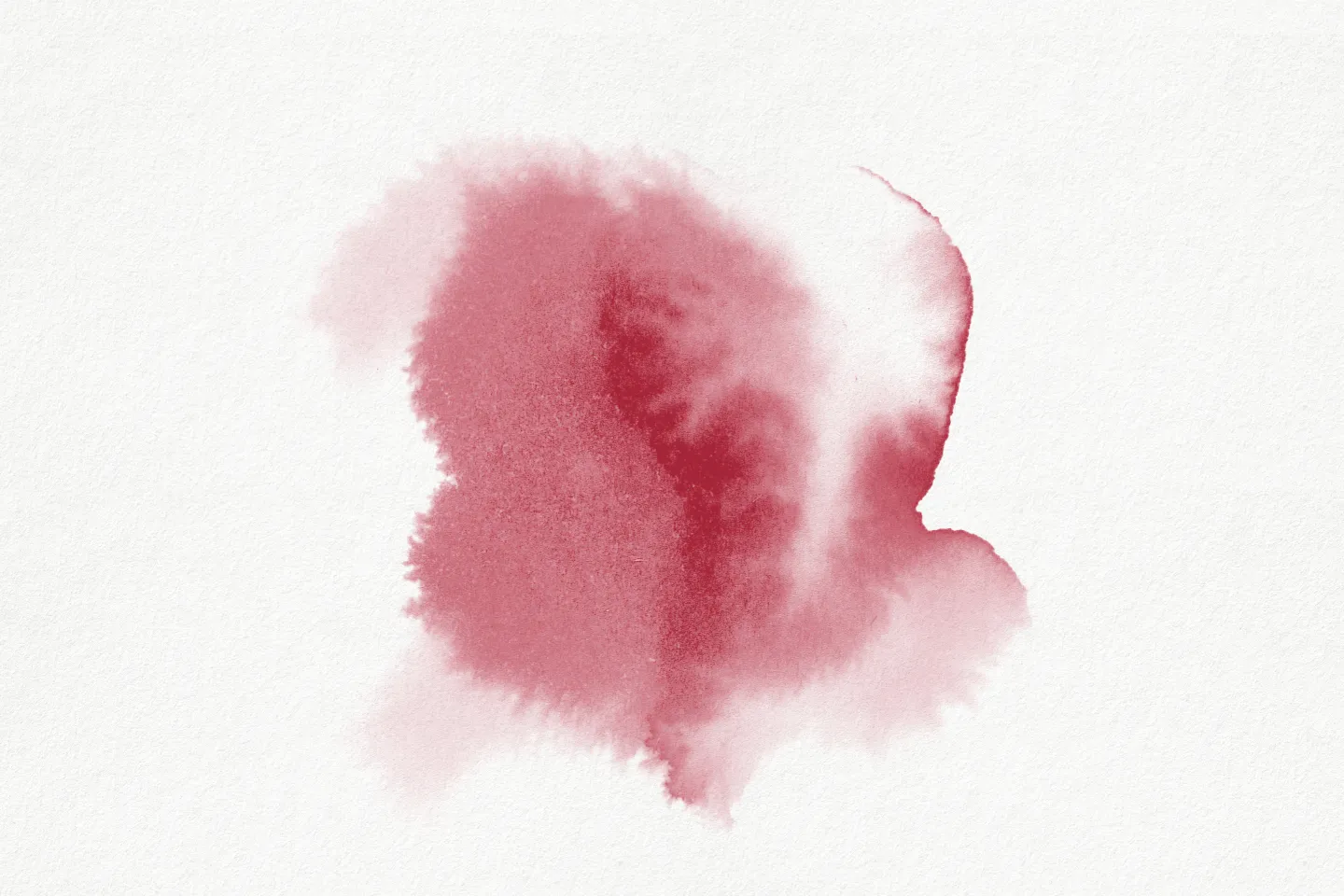 MorphCast for L'Atelier Parfum