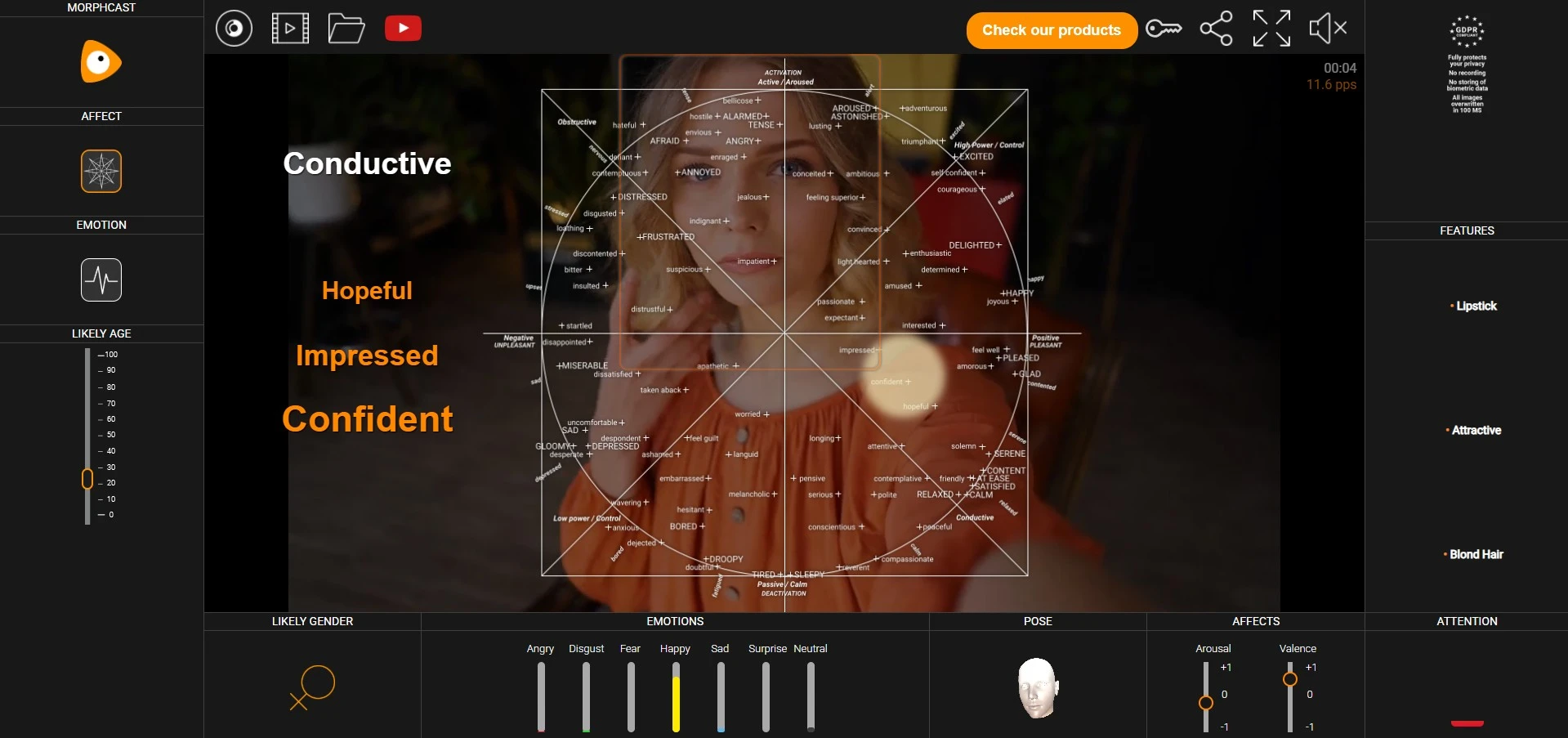 facial emotion ai demo live